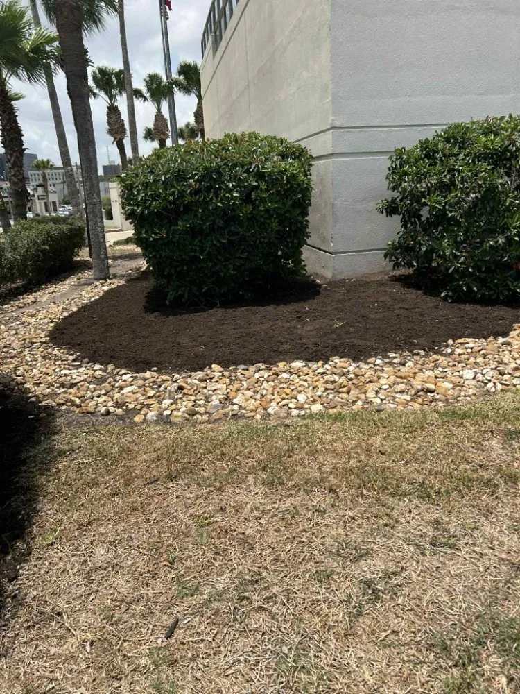 Top-rated landscape design experts serving Corpus Christi, TX - Above an Beyond