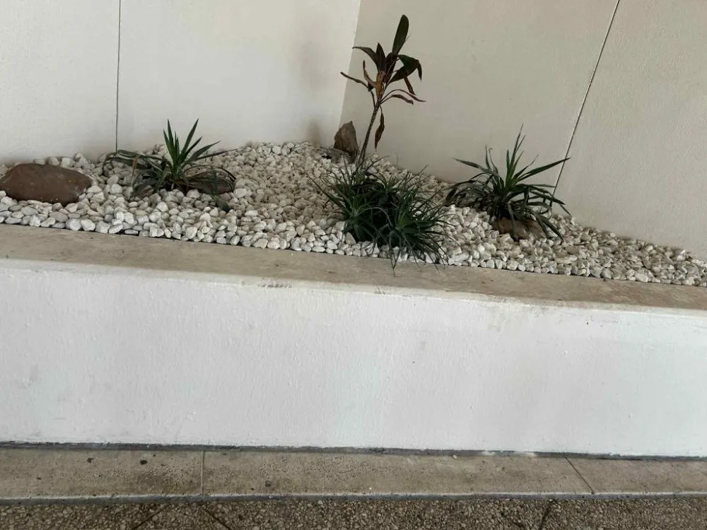 Expert outdoor landscaping for homes in Corpus Christi, TX by Above an Beyond