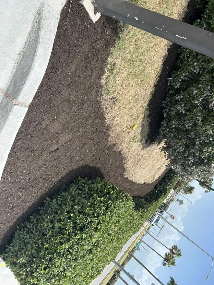 Custom landscape installation for beautiful yards across Corpus Christi, TX - Above an Beyond