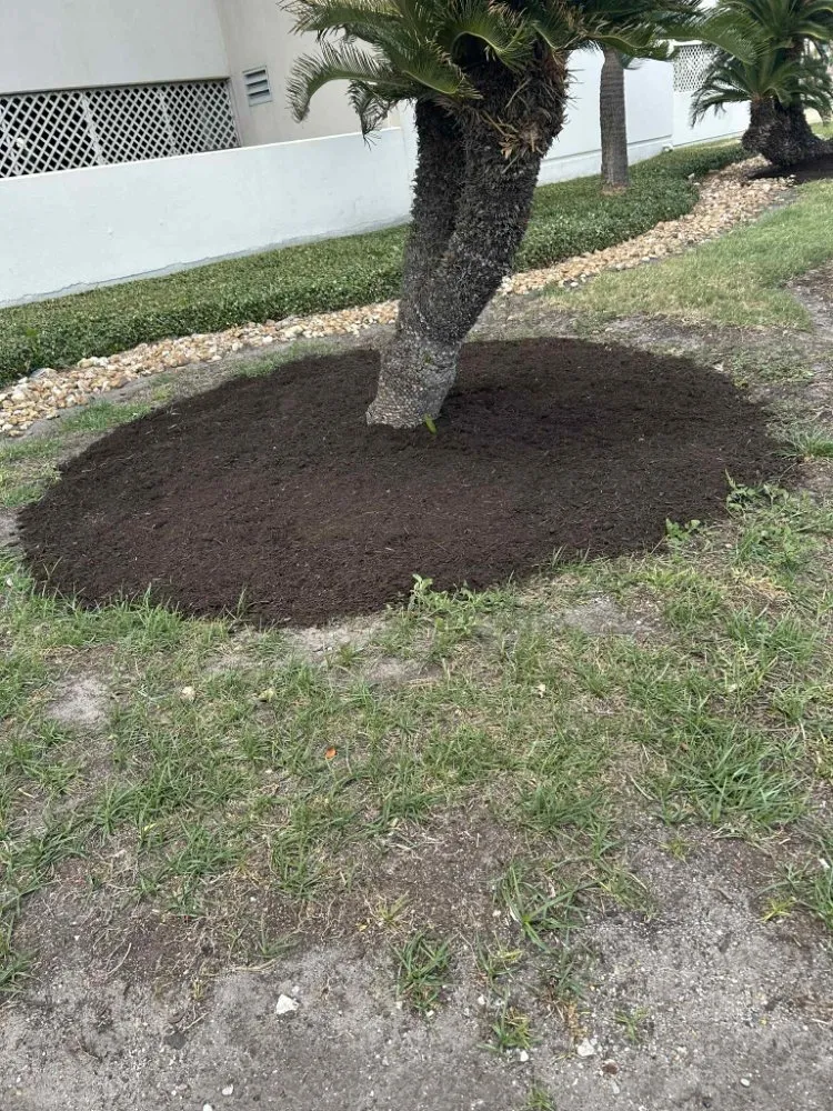 Expert landscape installation for outdoor upgrades across Corpus Christi, TX - Above an Beyond