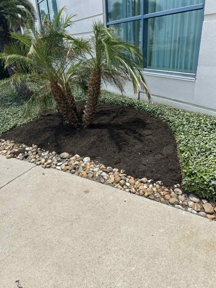 Trusted residential landscaping experts serving Corpus Christi, TX - Above an Beyond