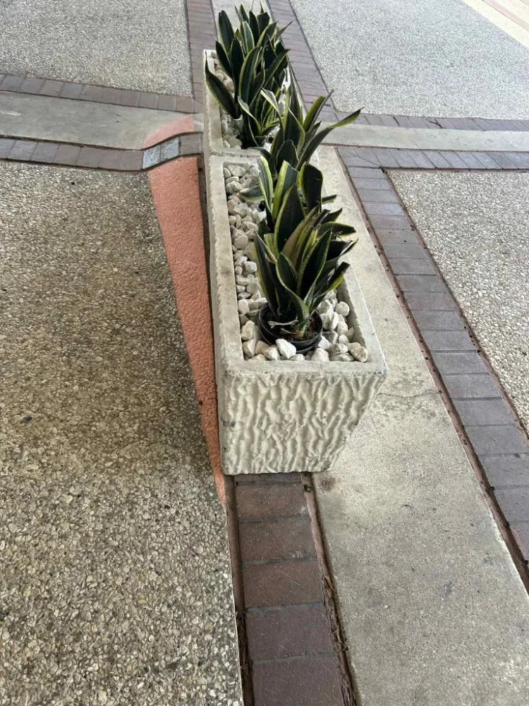 Reliable yard maintenance near you across Corpus Christi, TX - Above an Beyond