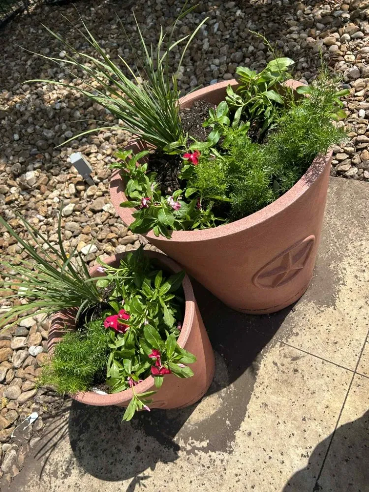 Reliable lawn care service for beautiful yards in Corpus Christi, TX by Above an Beyond