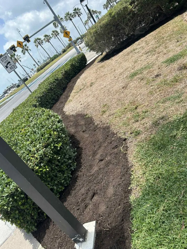 Reliable landscape design for outdoor upgrades in Corpus Christi, TX by Above an Beyond