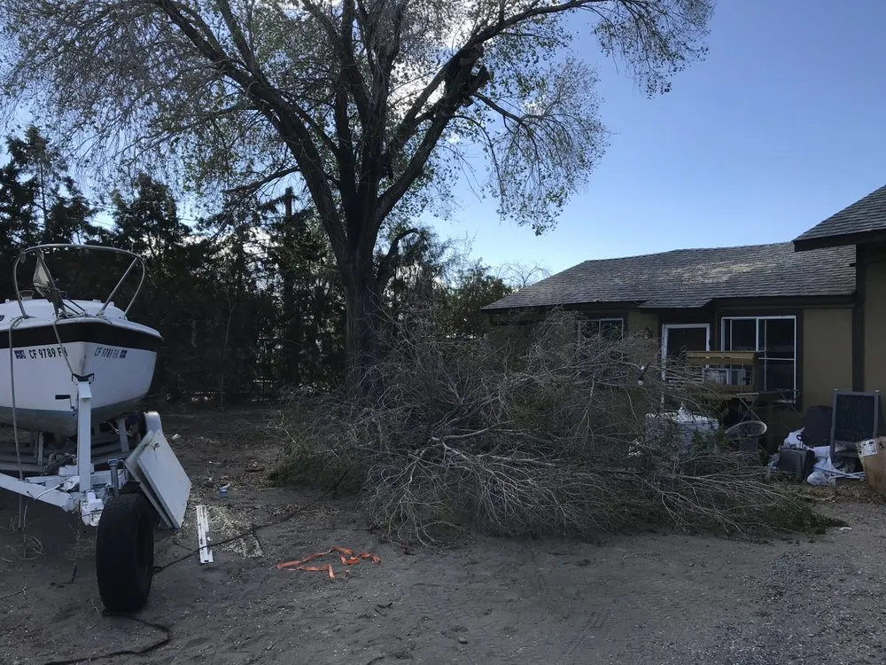 Trusted landscape design in Silver Springs, NV by Above And Beyond Handy Man Services