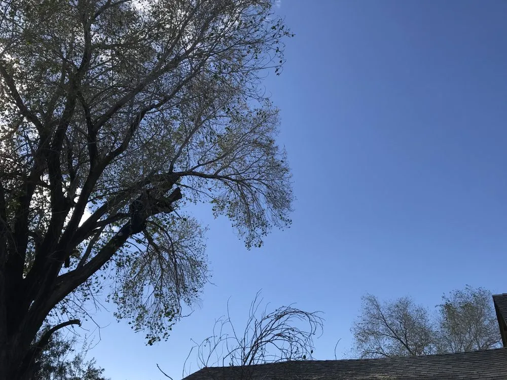 Reliable outdoor landscaping in Silver Springs, NV by Above And Beyond Handy Man Services