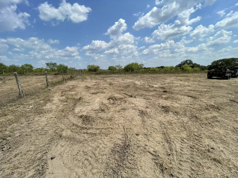 Top-rated yard maintenance for residential properties across Hallettsville, TX - Above and Beyond Land Services