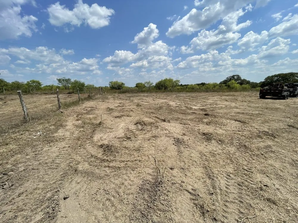 Trusted yard maintenance for homes across Hallettsville, TX - Above and Beyond Land Services