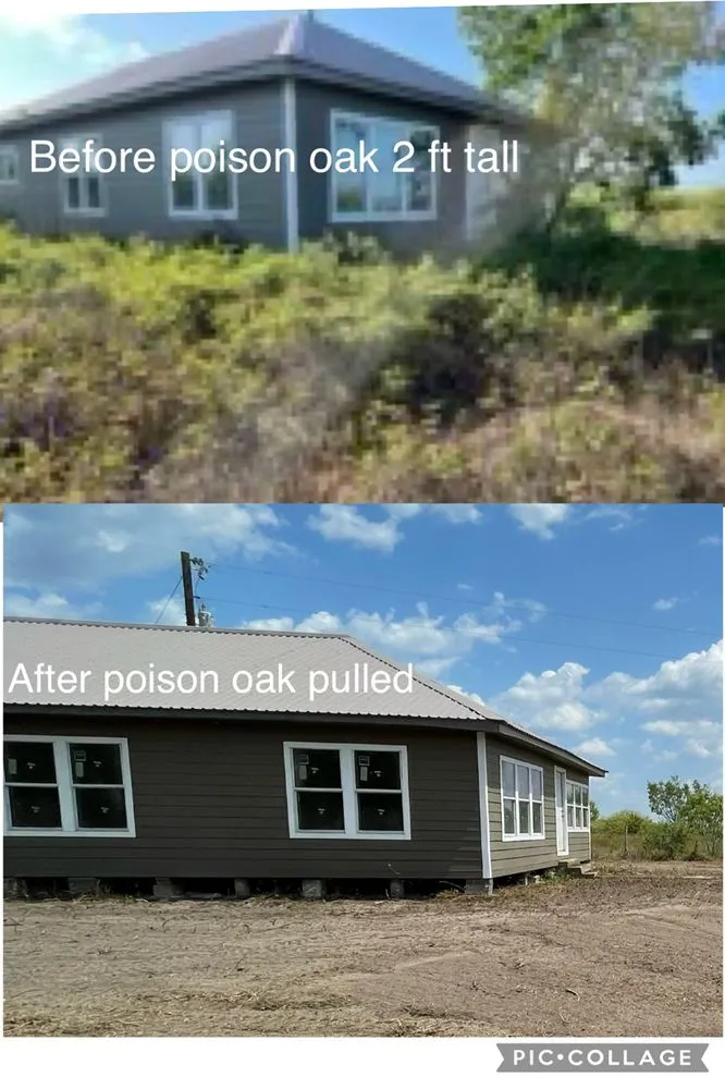 Expert yard maintenance for residential properties in Hallettsville, TX by Above and Beyond Land Services