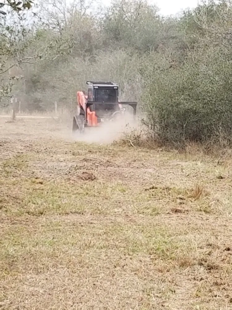 Professional yard cleanup service in Hallettsville, TX by Above and Beyond Land Services