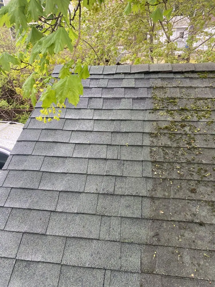 Top-rated garden landscaping in Kings Park, NY by Above and Beyond Landscape and Power Washing