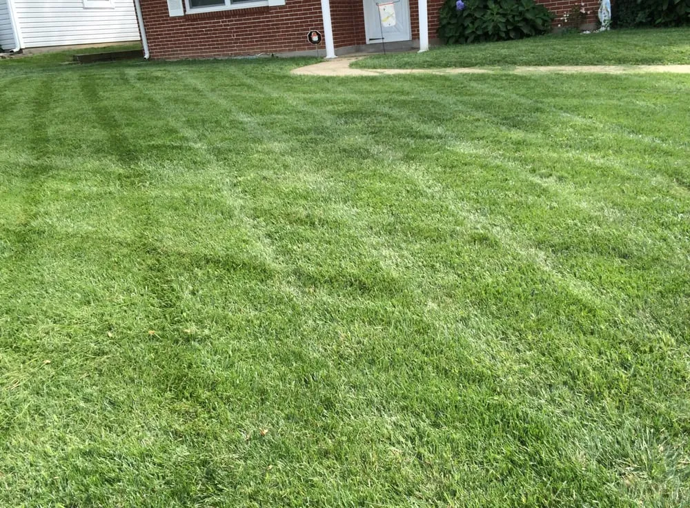 Professional landscape design for residential properties across Saint Louis, MO - Above and Beyond Landscape Construction