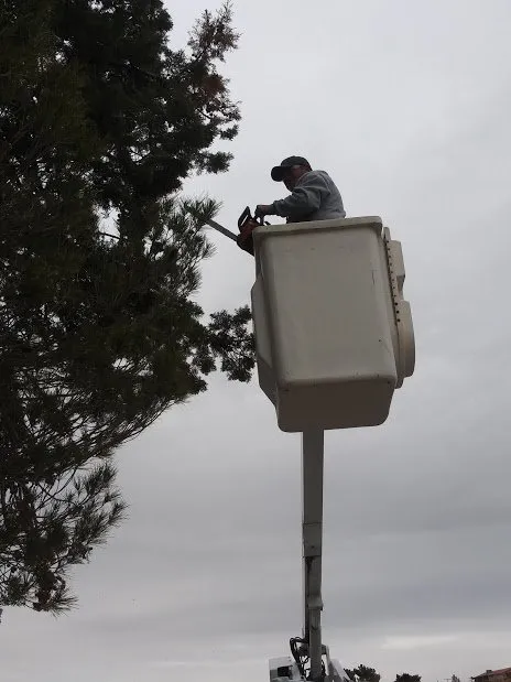 Professional lawn care service for outdoor upgrades across Hesperia, CA - Above And Beyond Landscaping