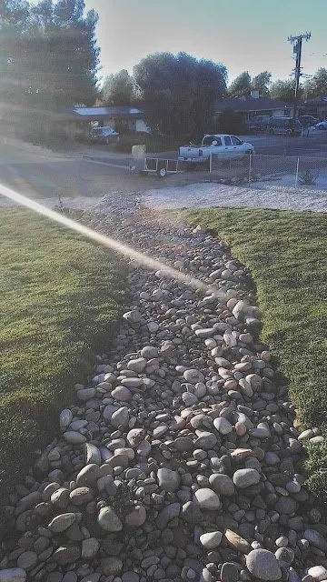 Trusted landscaping services for year-round maintenance in Hesperia, CA by Above And Beyond Landscaping