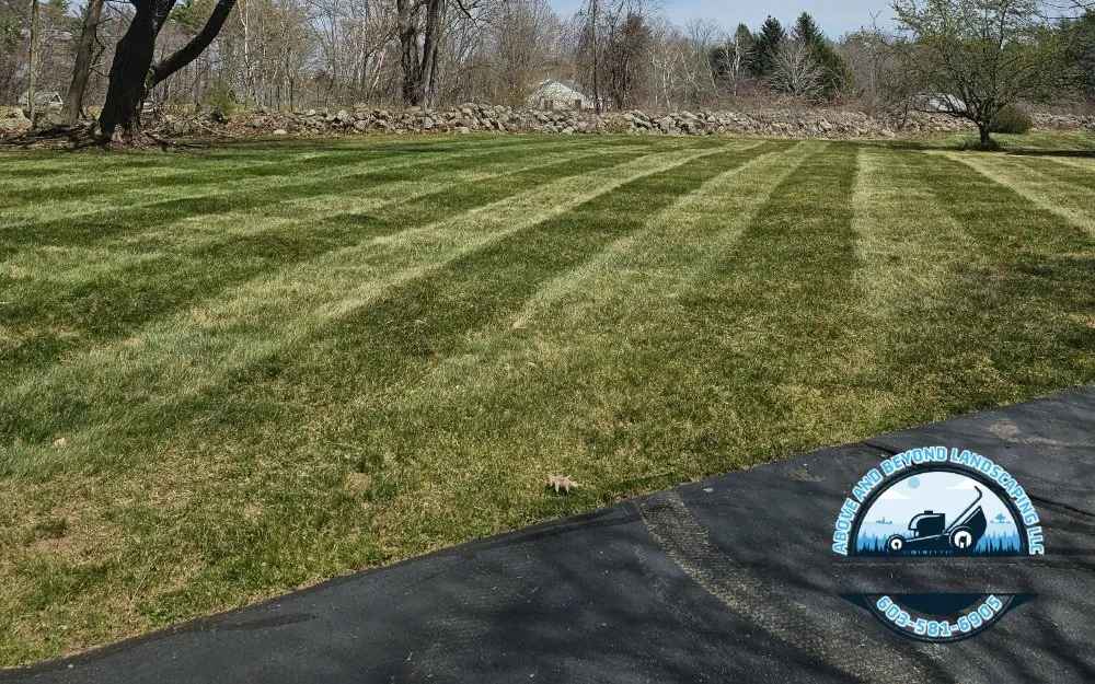 Professional yard cleanup service experts serving Wolfeboro, NH - Above and Beyond Landscaping