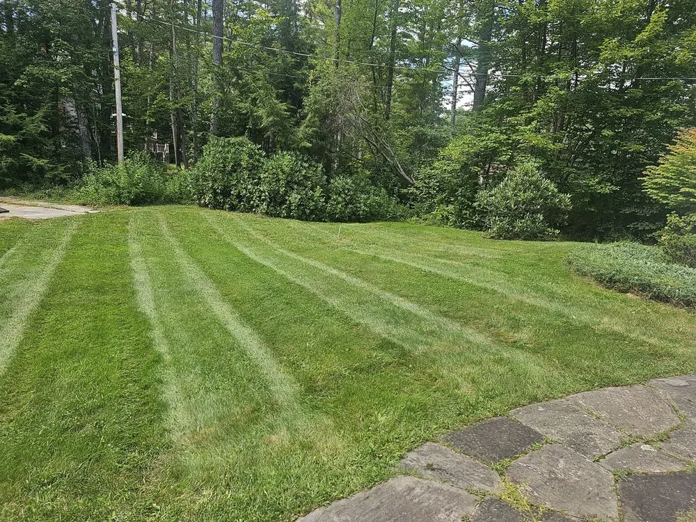 Affordable landscaping services experts serving Wolfeboro, NH - Above and Beyond Landscaping