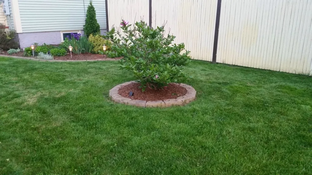 Local lawn care service near you across Wolfeboro, NH - Above and Beyond Landscaping