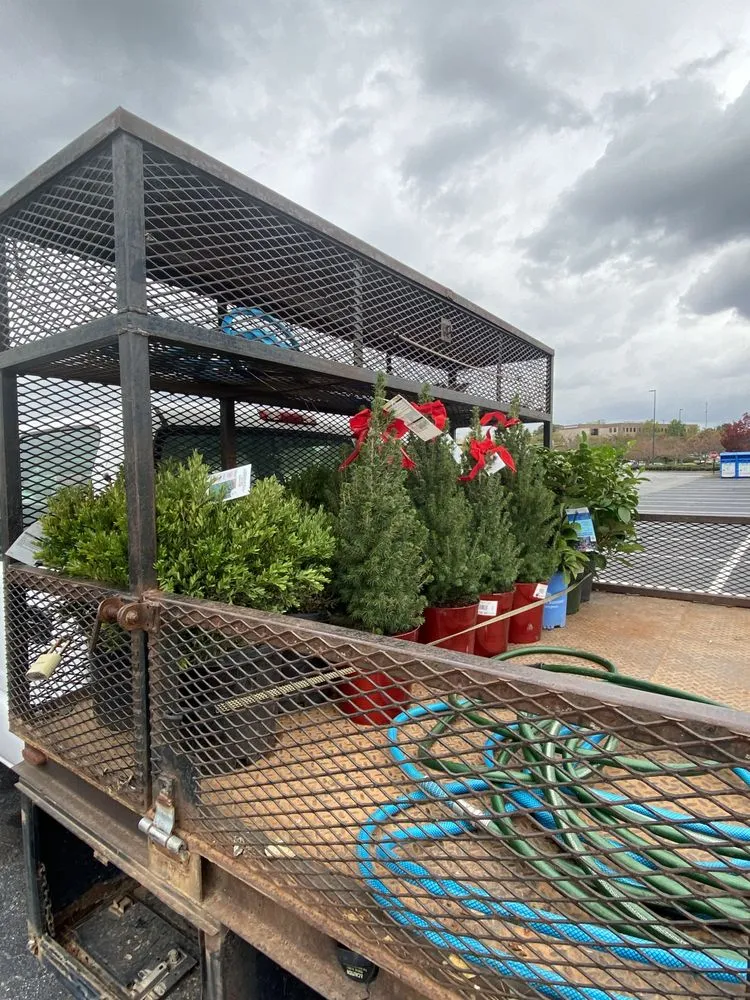 Affordable yard maintenance near you in Plainville, GA by Above And Beyond Lawn And Landscape