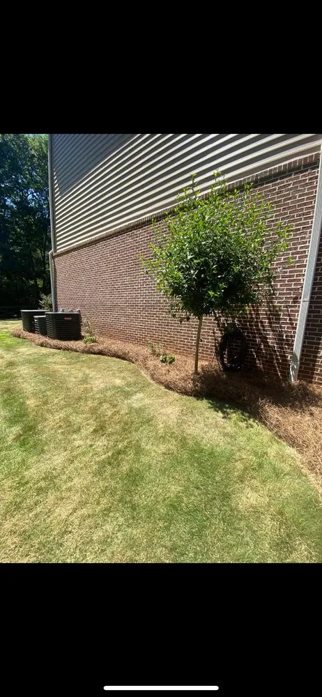Top-rated landscaping services near you in Plainville, GA by Above And Beyond Lawn And Landscape