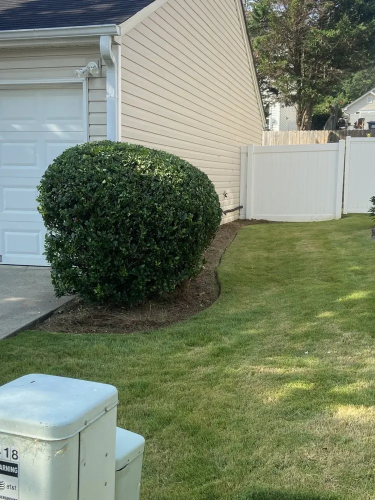 Top-rated yard cleanup service for residential properties in Plainville, GA by Above And Beyond Lawn And Landscape
