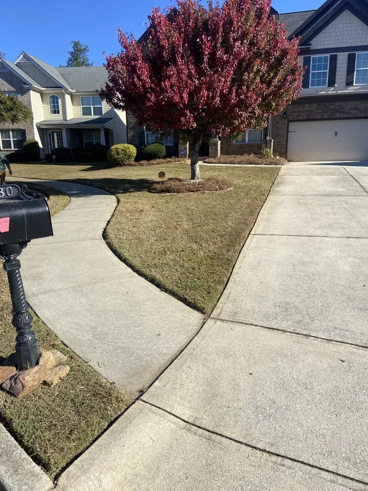 Trusted lawn care service for year-round maintenance across Plainville, GA - Above And Beyond Lawn And Landscape