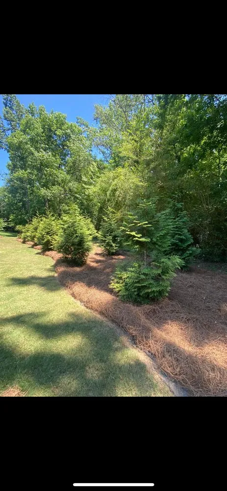 Professional landscape installation in Plainville, GA by Above And Beyond Lawn And Landscape