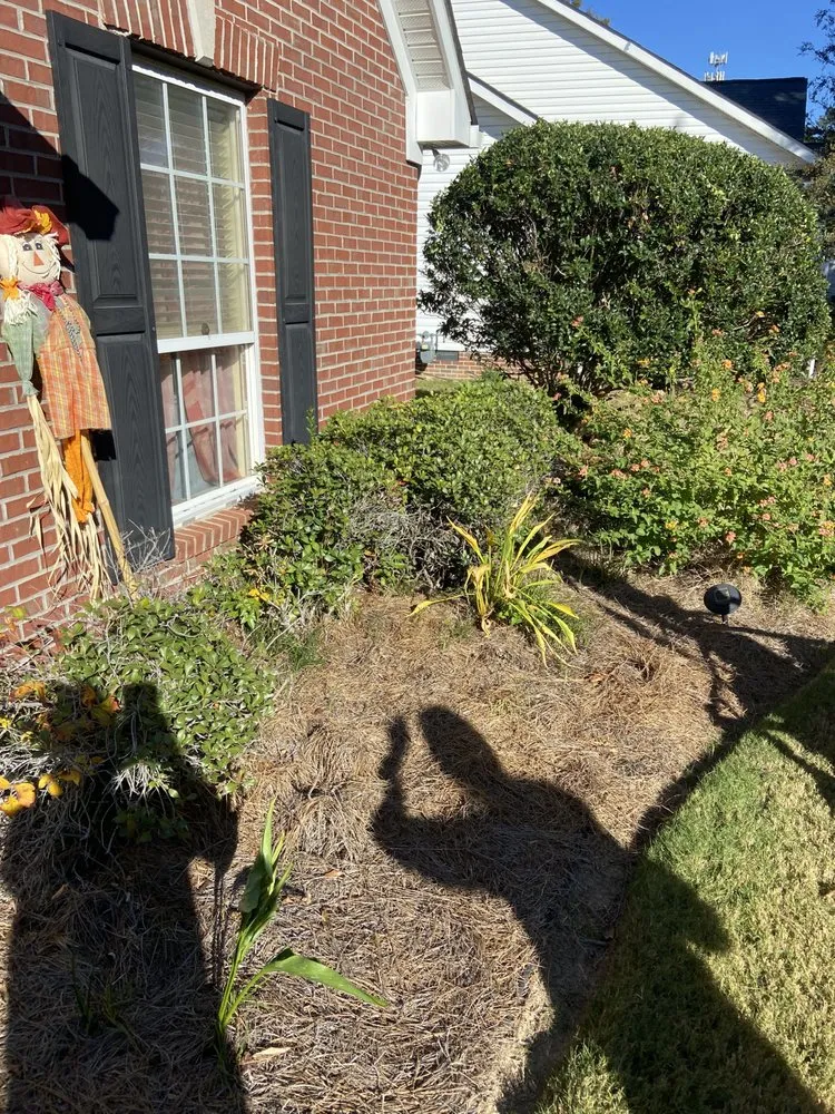 Reliable landscape installation for year-round maintenance across Plainville, GA - Above And Beyond Lawn And Landscape