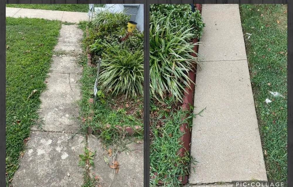 Trusted outdoor landscaping for beautiful yards across Riverside, MD - Above and Beyond Lawn and Pressure Washing Services