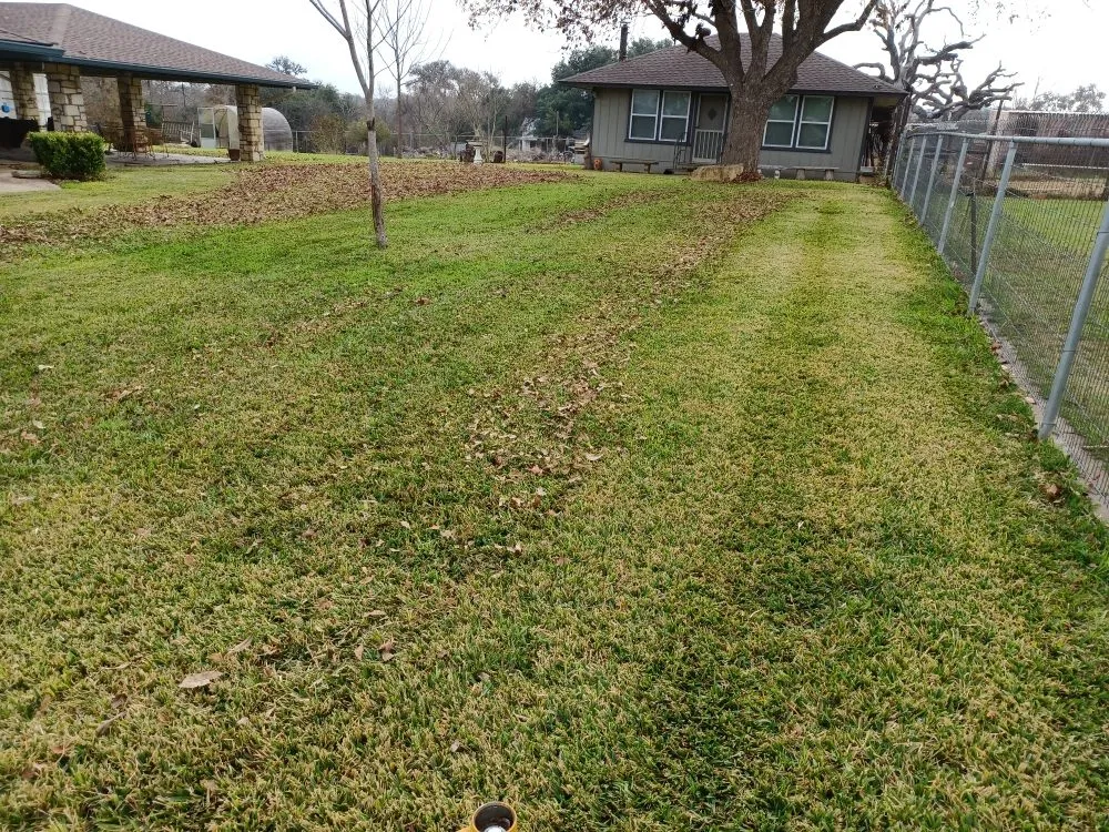 Expert lawn care service for beautiful yards across Center Point, TX - Above and Beyond Lawn Care