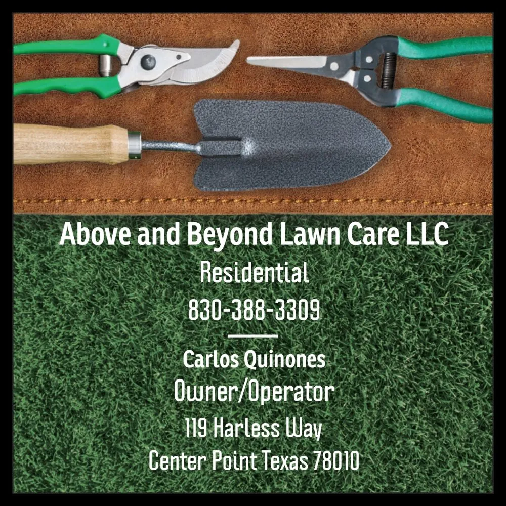Expert yard cleanup service with custom design in Center Point, TX by Above and Beyond Lawn Care