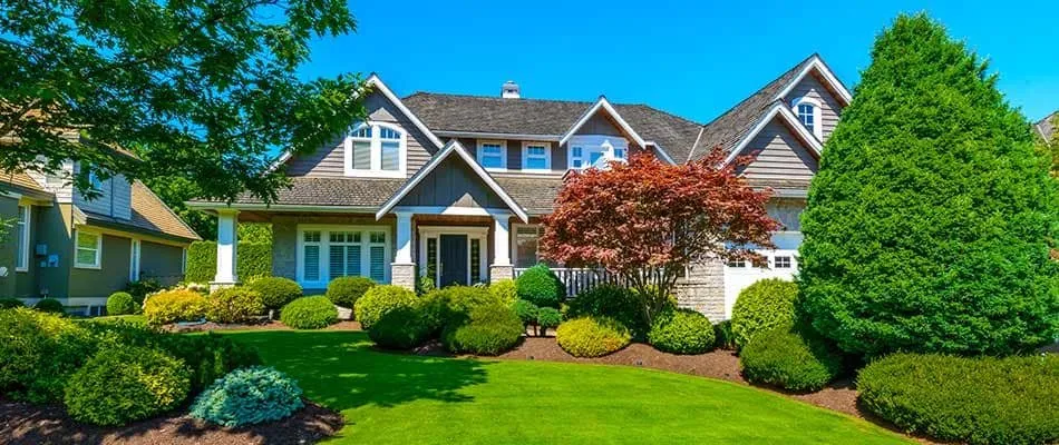 Professional outdoor landscaping for beautiful yards across Moreland, GA - Above And Beyond Lawn Care