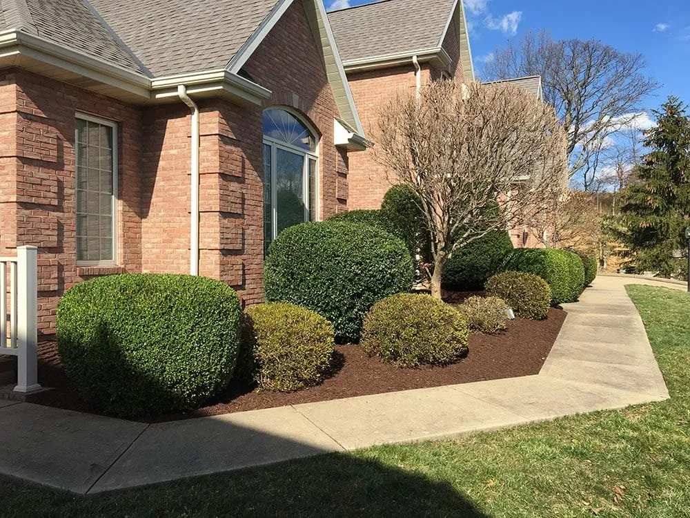 Reliable landscape installation near you across Moreland, GA - Above And Beyond Lawn Care
