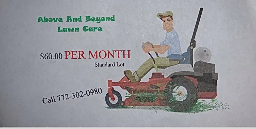 Custom yard cleanup service with custom design across Sorrento, FL - Above and Beyond Lawn Care