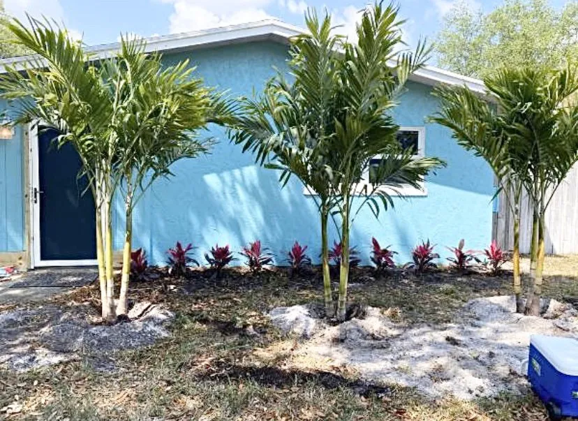 Reliable garden landscaping experts serving Sorrento, FL - Above and Beyond Lawn Care
