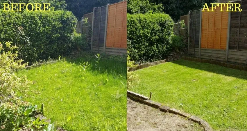 Professional residential landscaping for year-round maintenance across Sorrento, FL - Above and Beyond Lawn Care