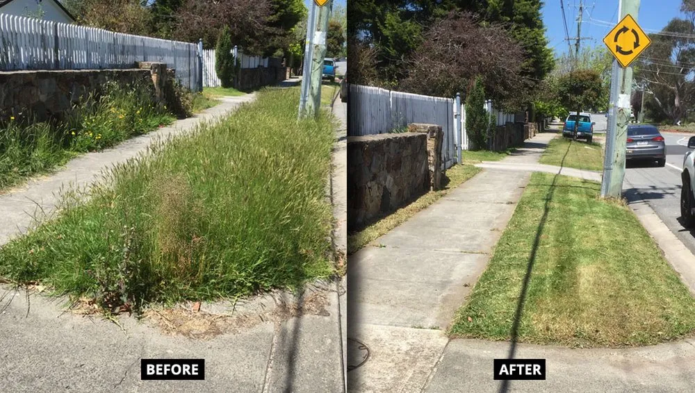 Reliable outdoor landscaping in Sorrento, FL - Above and Beyond Lawn Care