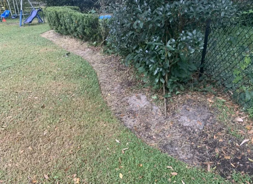 Professional landscape installation for beautiful yards across Sorrento, FL - Above and Beyond Lawn Care
