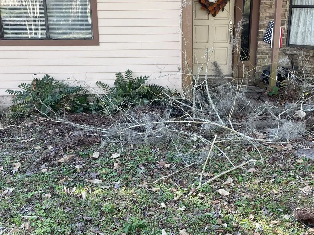 Expert residential landscaping for beautiful yards in Gainesville, FL by Above and Beyond Lawn Care Systems