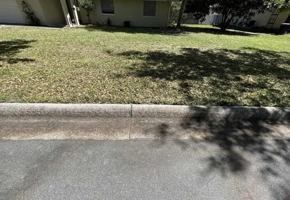 Professional landscaping services in Gainesville, FL - Above and Beyond Lawn Care Systems