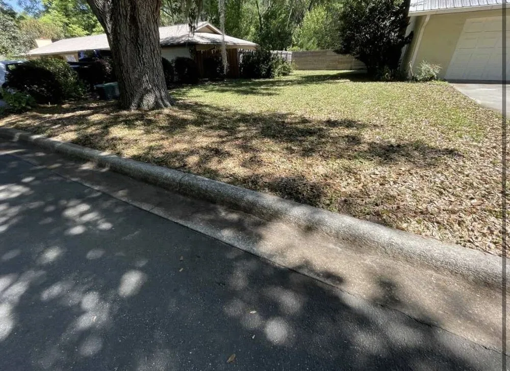 Expert lawn care service in Gainesville, FL by Above and Beyond Lawn Care Systems