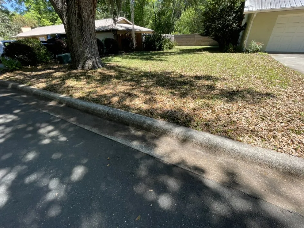 Expert landscape design for homes in Gainesville, FL by Above and Beyond Lawn Care Systems