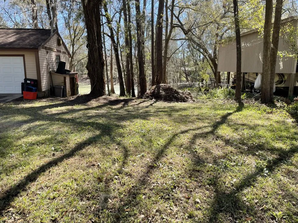 Reliable landscaping services in Gainesville, FL - Above and Beyond Lawn Care Systems