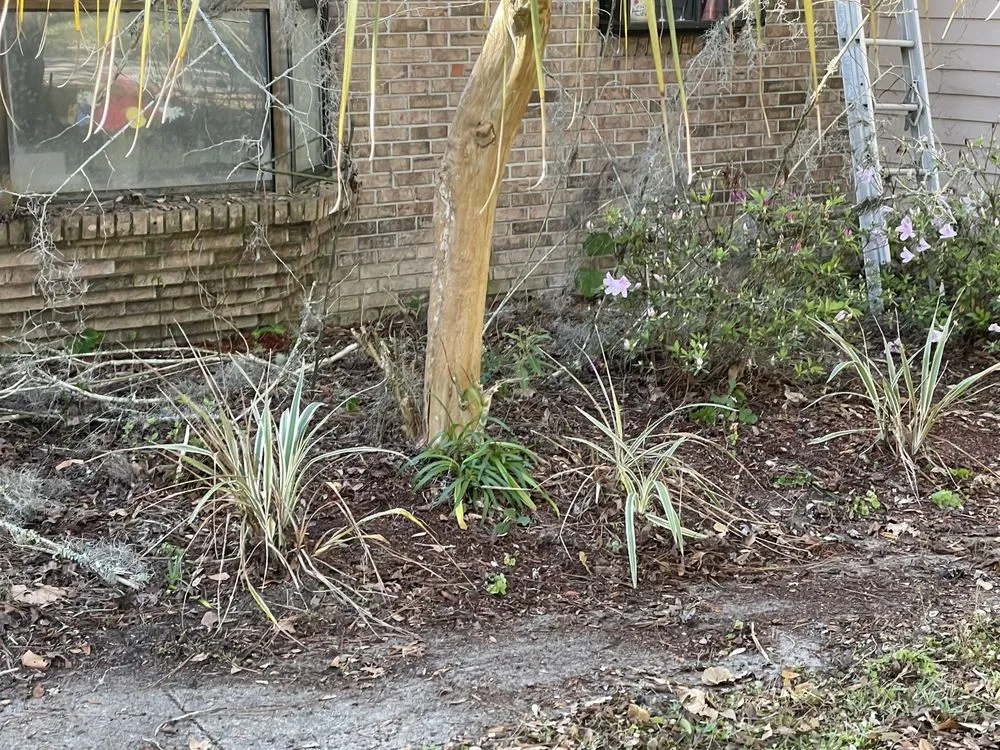 Local landscape design for beautiful yards across Gainesville, FL - Above and Beyond Lawn Care Systems