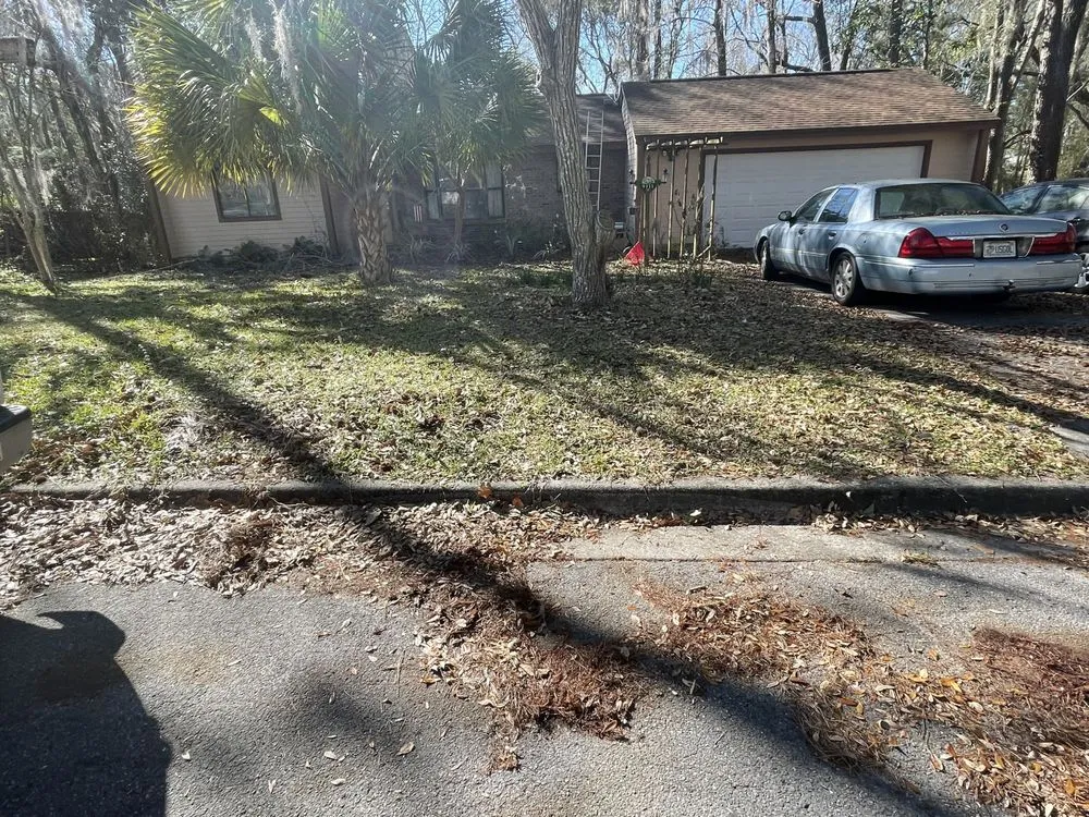 Reliable landscape installation experts serving Gainesville, FL - Above and Beyond Lawn Care Systems