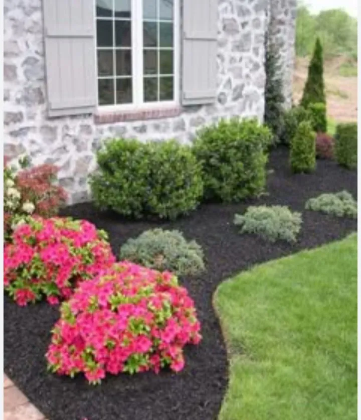 Trusted residential landscaping experts serving Myrtle Beach, SC - Above and Beyond Lawn Service