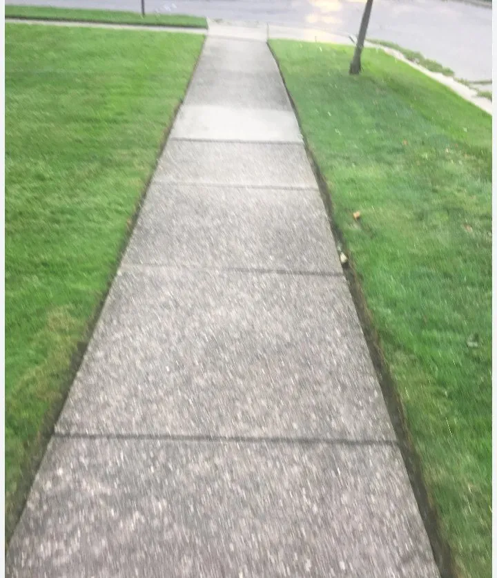 Affordable landscape design experts serving Myrtle Beach, SC - Above and Beyond Lawn Service