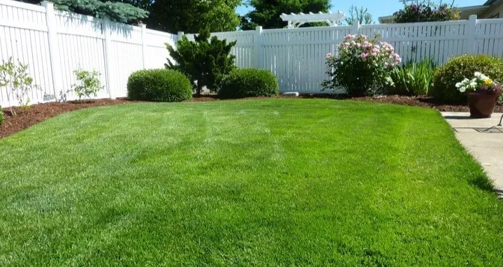 Top-rated lawn care service in Myrtle Beach, SC - Above and Beyond Lawn Service