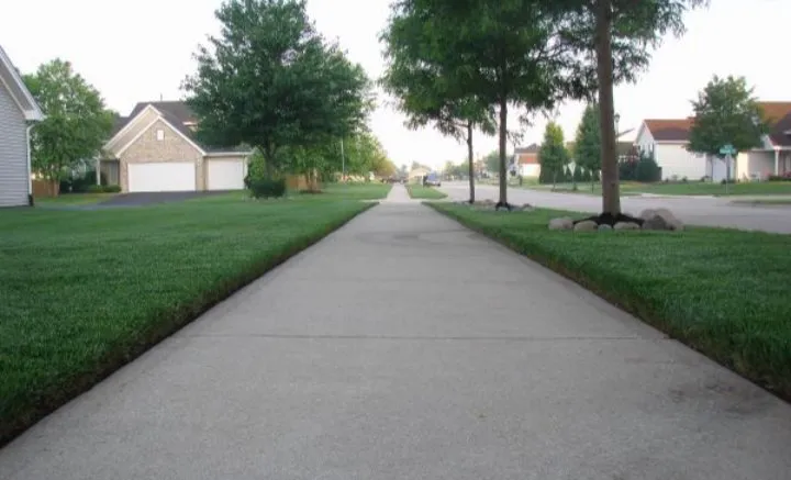 Top-rated landscape installation in Myrtle Beach, SC by Above and Beyond Lawn Service