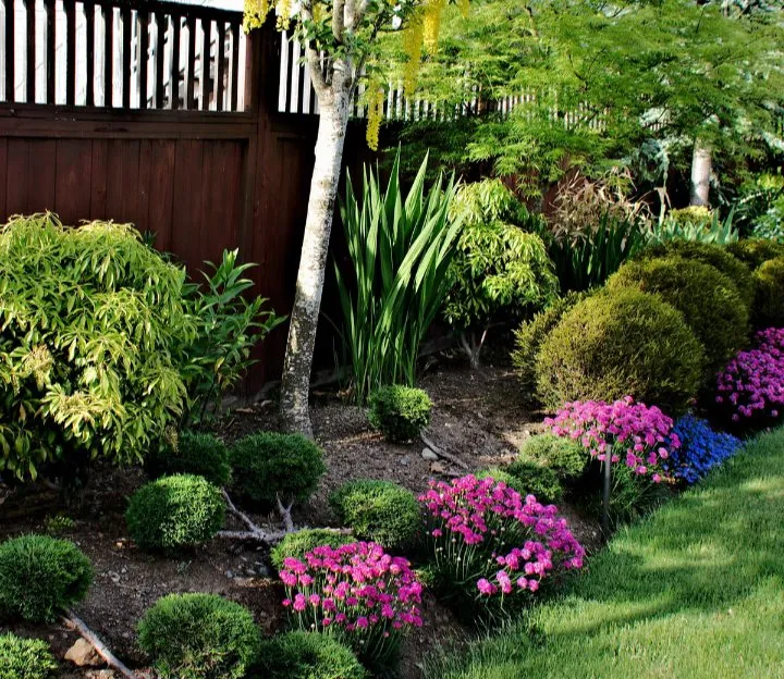 Professional yard cleanup service experts serving Myrtle Beach, SC - Above and Beyond Lawn Service