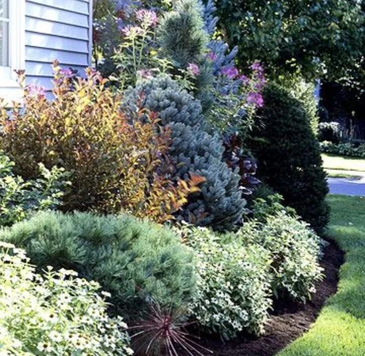 Reliable lawn care service in Myrtle Beach, SC by Above and Beyond Lawn Service